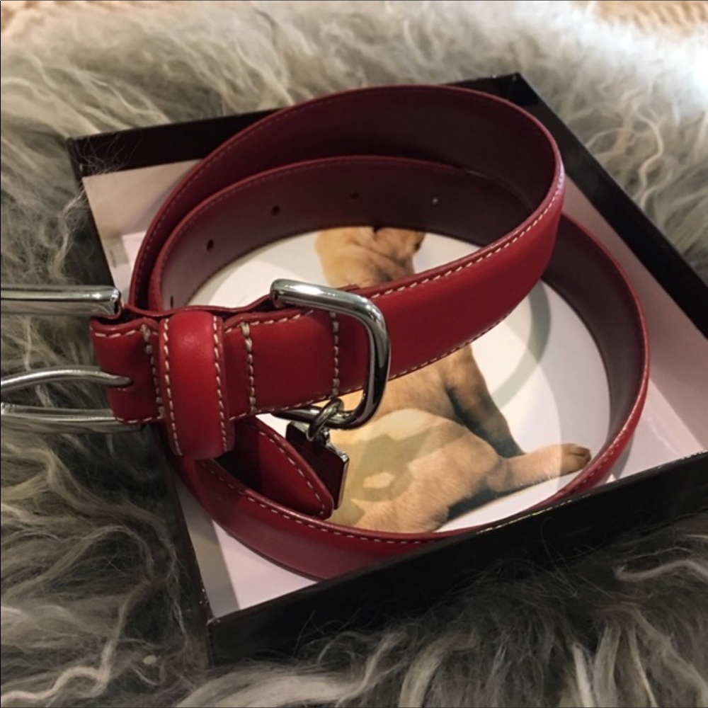 Coach XL Dog Collar